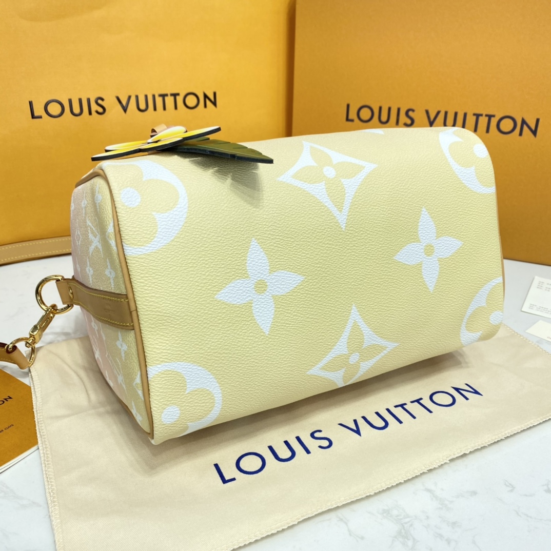 Louis Vuitton SPEEDY BANDOULIERE 25 Monogram Handbag M45722 Brume Gray